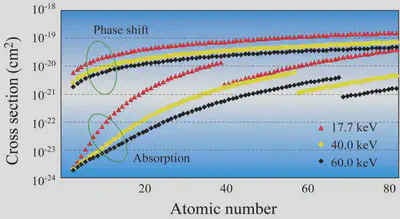 図2: 原子一個当たりの吸収と位相シフトの相互作用の大きさ。軽元素において、位相シフトの相互作用が吸収（従来法）に比べて約千倍大きく、X 線位相イメージングの高い感度の根拠となっている。